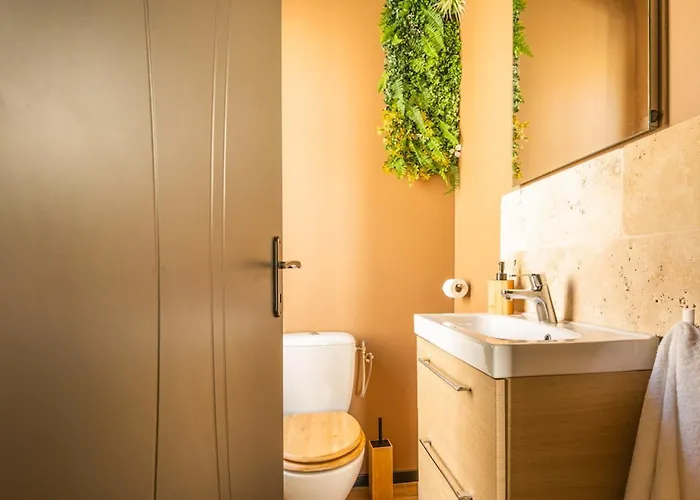Le Jungle Havre De Paix Avec Wifi Apartment